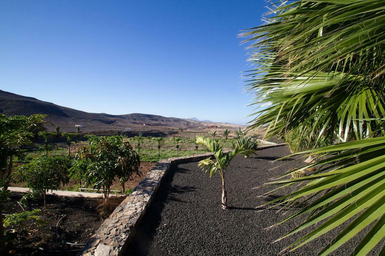 Pájara Finca Arbequina מראה חיצוני תמונה