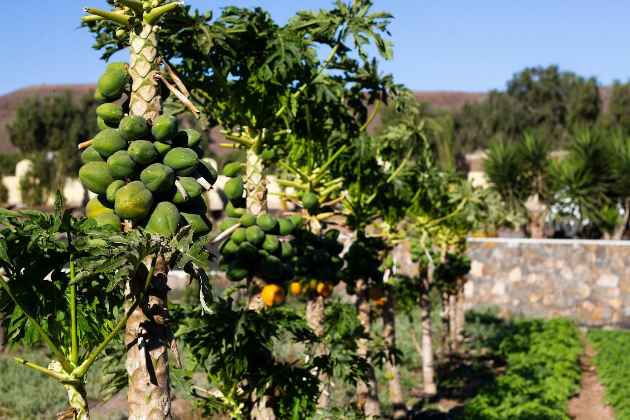 Pájara Finca Arbequina מראה חיצוני תמונה